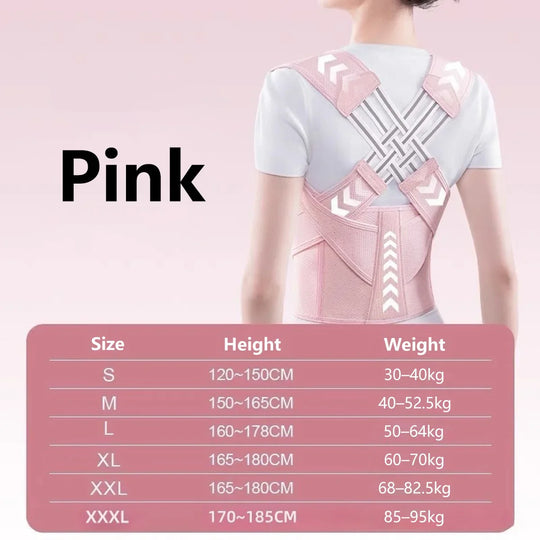 G Active Adjustable Posture Corrector Belt Back Support, Waist Trainer &amp; Spine Alignment Brace for Men &amp; Women